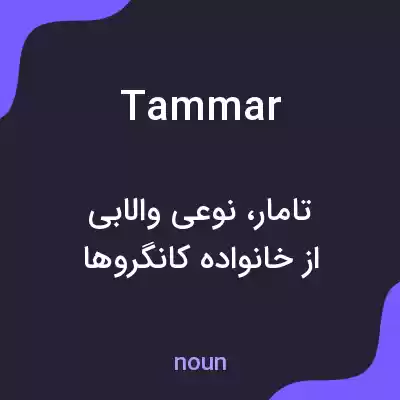معنی tammar به فارسی معنی tammar به فارسی