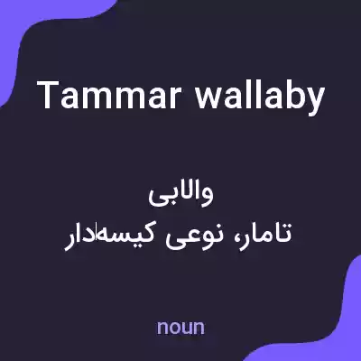 معنی tammar wallaby به فارسی معنی tammar wallaby به فارسی