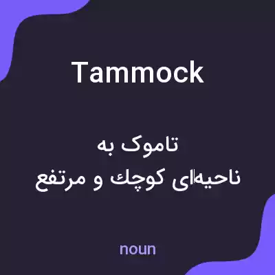 معنی tammock به فارسی معنی tammock به فارسی