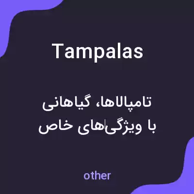 معنی tampalas به فارسی معنی tampalas به فارسی
