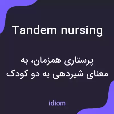 معنی tandem nursing به فارسی معنی tandem nursing به فارسی