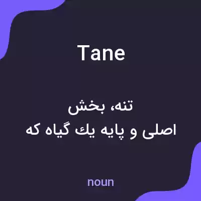 معنی tane به فارسی معنی tane به فارسی