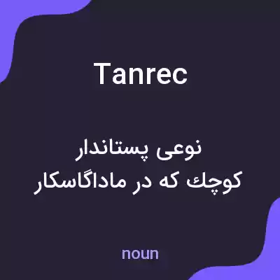 معنی tanrec به فارسی معنی tanrec به فارسی