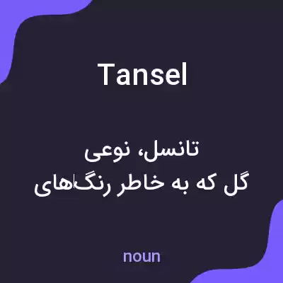 معنی tansel به فارسی معنی tansel به فارسی