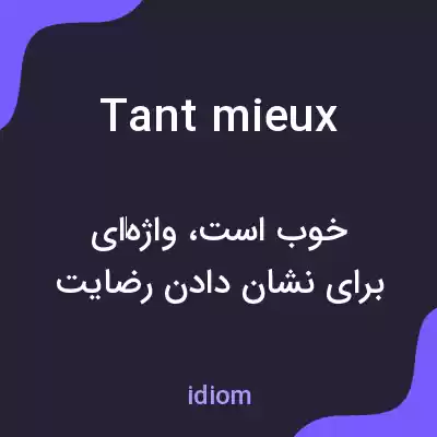 معنی tant mieux به فارسی معنی tant mieux به فارسی