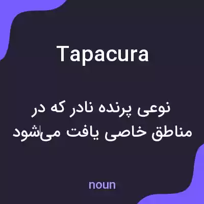 معنی tapacura به فارسی