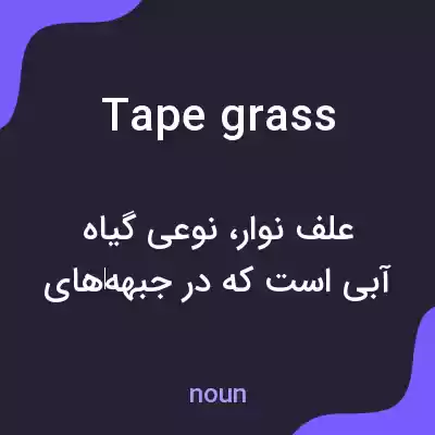 معنی tape grass به فارسی معنی tape grass به فارسی