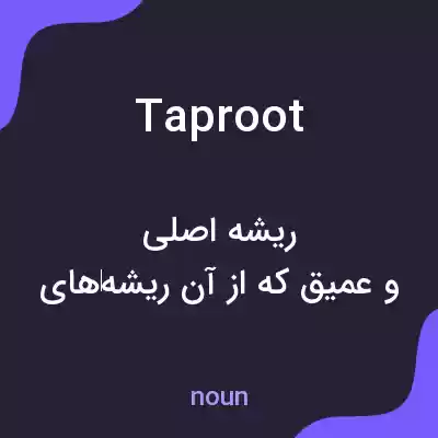 معنی taproot به فارسی معنی taproot به فارسی