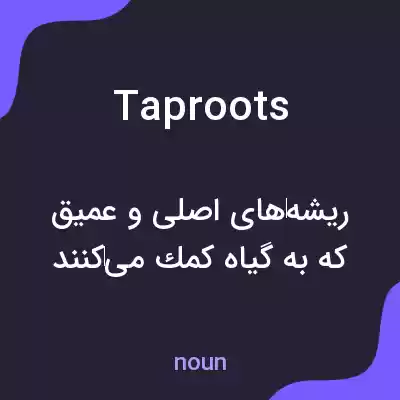 معنی taproots به فارسی معنی taproots به فارسی