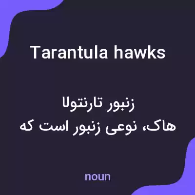 معنی tarantula hawks به فارسی معنی tarantula hawks به فارسی