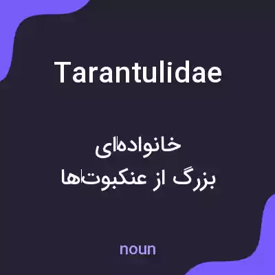 معنی tarantulidae به فارسی معنی tarantulidae به فارسی
