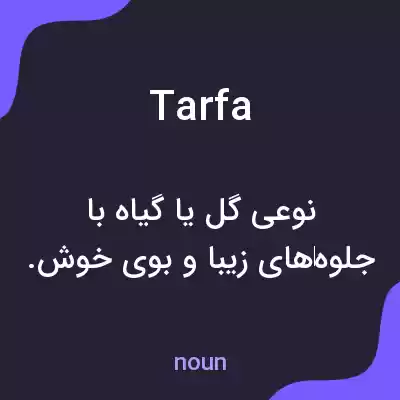 معنی tarfa به فارسی معنی tarfa به فارسی