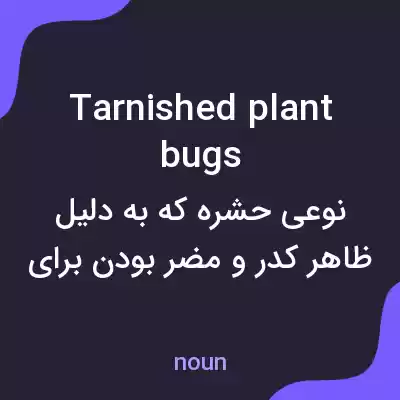 معنی tarnished plant bugs به فارسی معنی tarnished plant bugs به فارسی