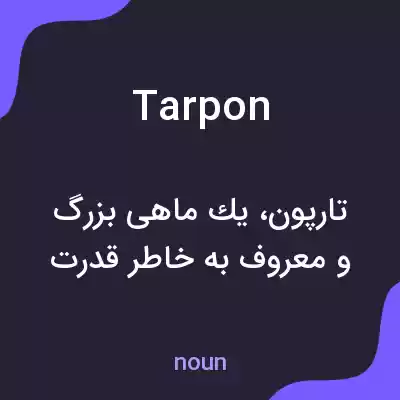 معنی tarpon به فارسی معنی tarpon به فارسی