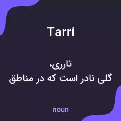 معنی tarri به فارسی معنی tarri به فارسی