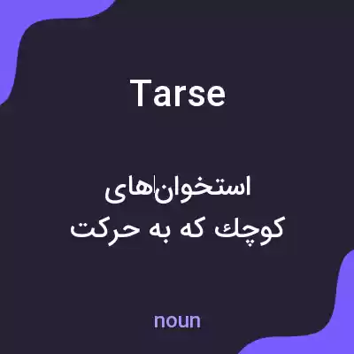 معنی tarse به فارسی معنی tarse به فارسی