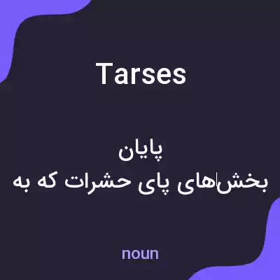 معنی tarses به فارسی معنی tarses به فارسی