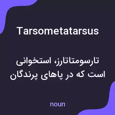 معنی tarsometatarsus به فارسی معنی tarsometatarsus به فارسی
