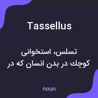 معنی tassellus به فارسی معنی tassellus به فارسی