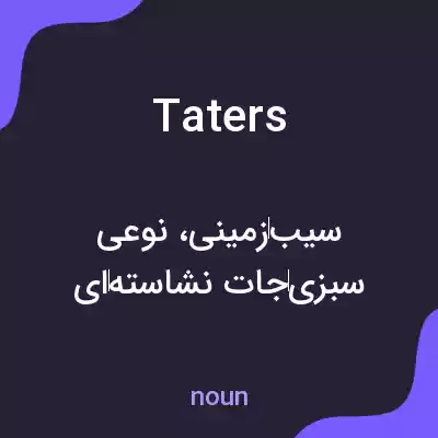 معنی taters به فارسی