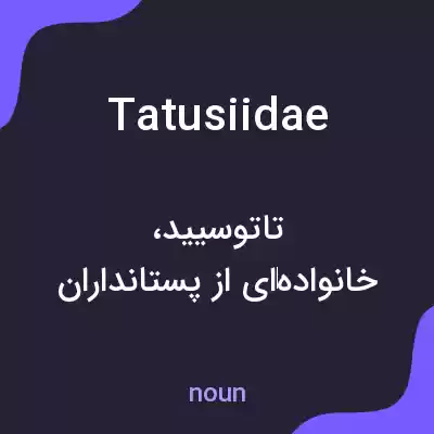معنی tatusiidae به فارسی معنی tatusiidae به فارسی