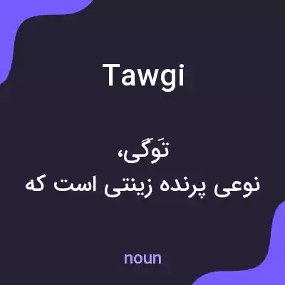 معنی tawgi به فارسی معنی tawgi به فارسی