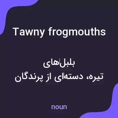 معنی tawny frogmouths به فارسی معنی tawny frogmouths به فارسی