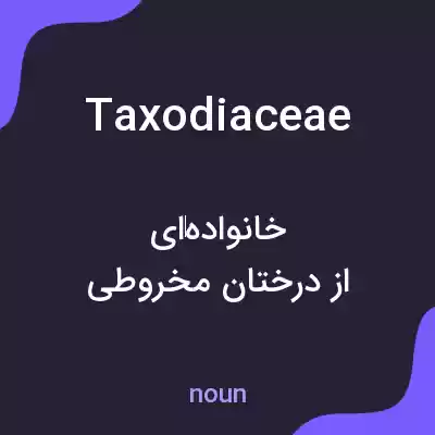 معنی taxodiaceae به فارسی معنی taxodiaceae به فارسی