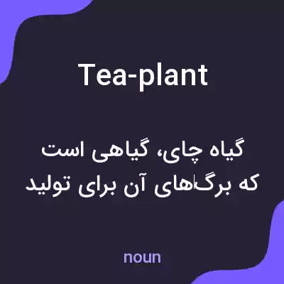 معنی tea-plant به فارسی معنی tea-plant به فارسی