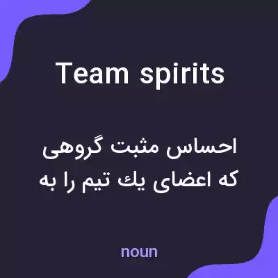 معنی team spirits به فارسی معنی team spirits به فارسی