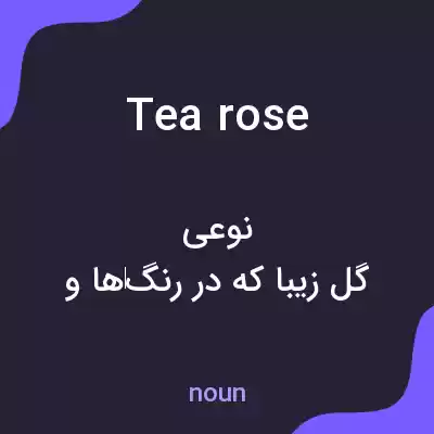 معنی tea rose به فارسی معنی tea rose به فارسی