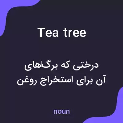 معنی tea tree به فارسی معنی tea tree به فارسی