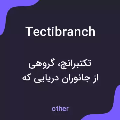 معنی tectibranch به فارسی معنی tectibranch به فارسی