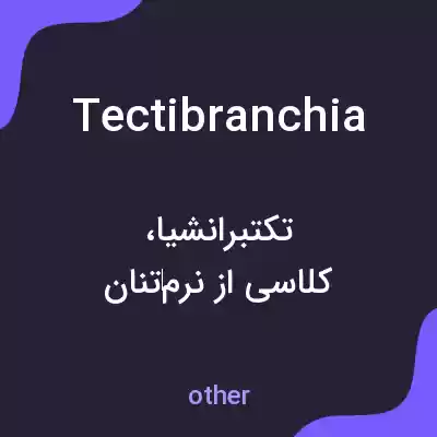 معنی tectibranchia به فارسی معنی tectibranchia به فارسی