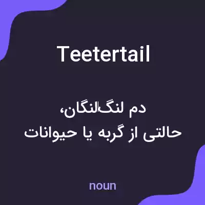 معنی teetertail به فارسی معنی teetertail به فارسی