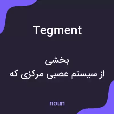 معنی tegment به فارسی معنی tegment به فارسی