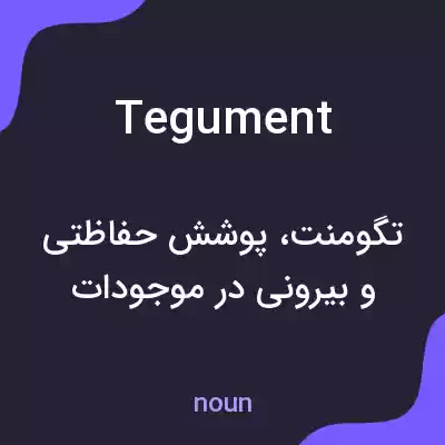 معنی tegument به فارسی معنی tegument به فارسی