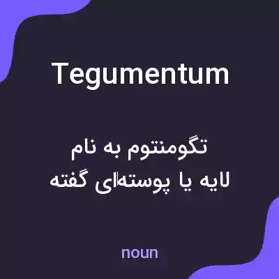معنی tegumentum به فارسی معنی tegumentum به فارسی