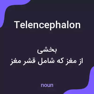 معنی telencephalon به فارسی معنی telencephalon به فارسی