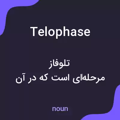 معنی telophase به فارسی