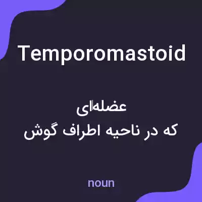 معنی temporomastoid به فارسی