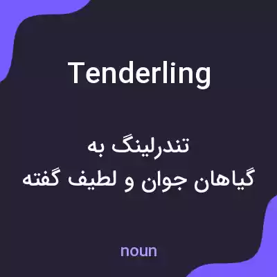 معنی tenderling به فارسی معنی tenderling به فارسی