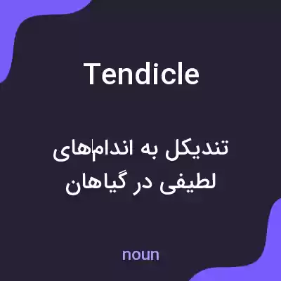 معنی tendicle به فارسی معنی tendicle به فارسی