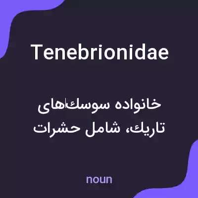 معنی tenebrionidae به فارسی معنی tenebrionidae به فارسی