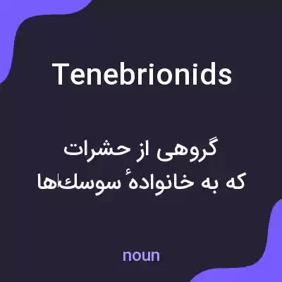 معنی tenebrionids به فارسی