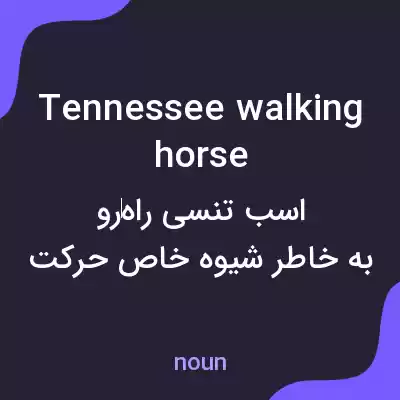 معنی tennessee walking horse به فارسی