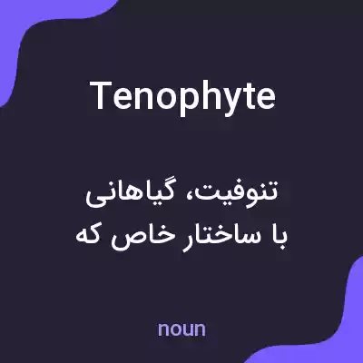معنی tenophyte به فارسی معنی tenophyte به فارسی