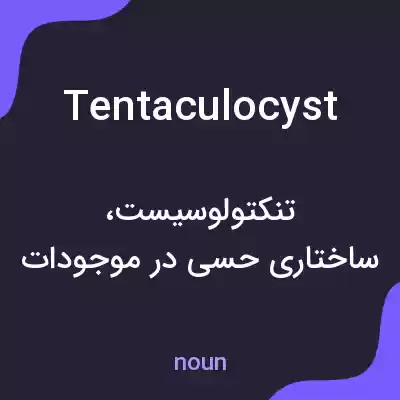 معنی tentaculocyst به فارسی معنی tentaculocyst به فارسی