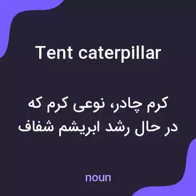 معنی tent caterpillar به فارسی