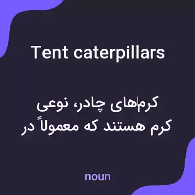 معنی tent caterpillars به فارسی معنی tent caterpillars به فارسی